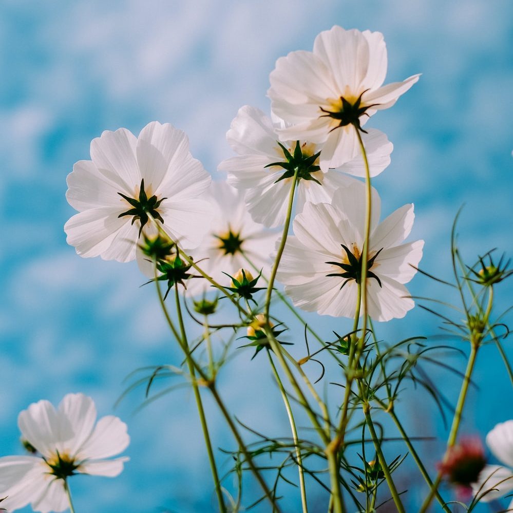 Heart talk to my own self